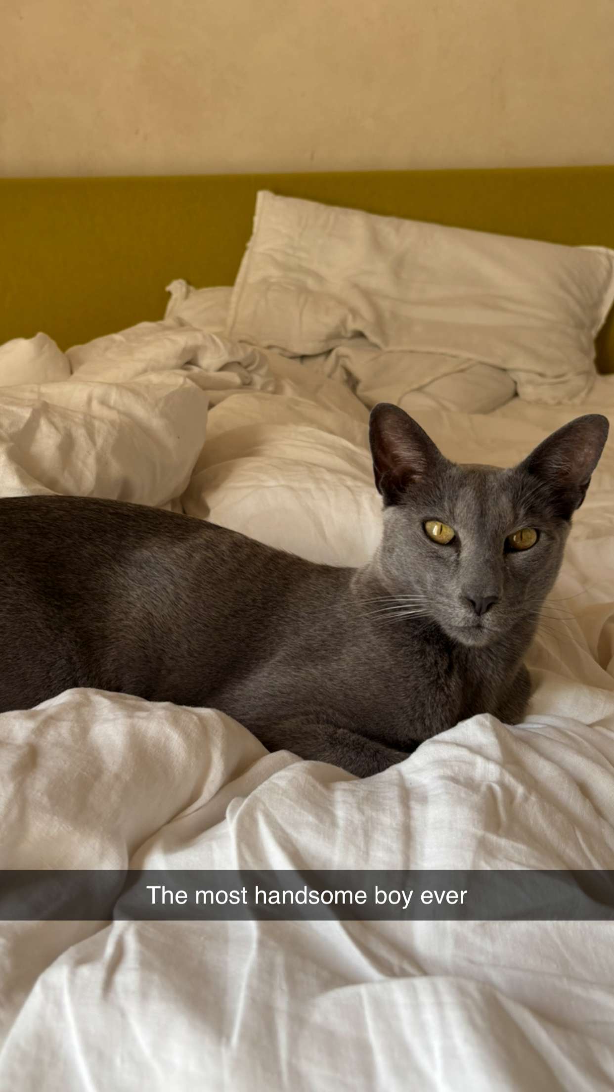 joell_perry snapchat image archive image