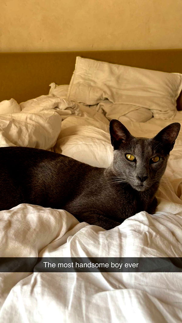 joell_perry image ~ Altpins