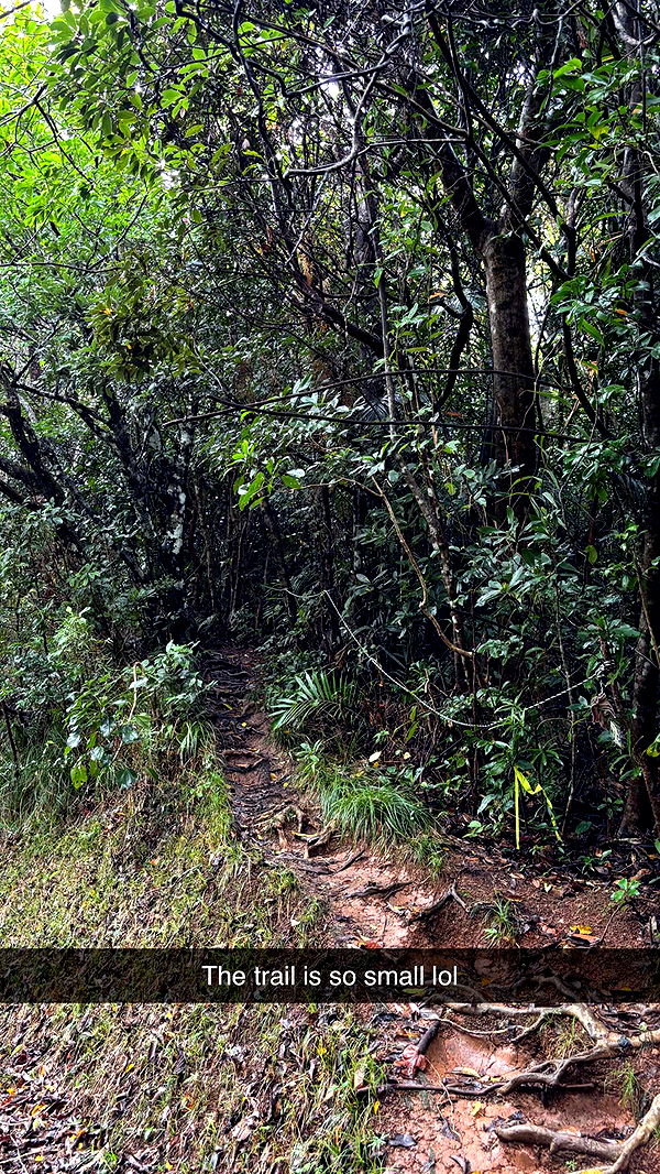 joell_perry image ~ Altpins