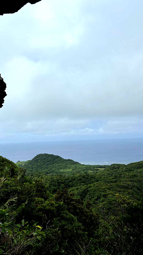 joell_perry image ~ Altpins