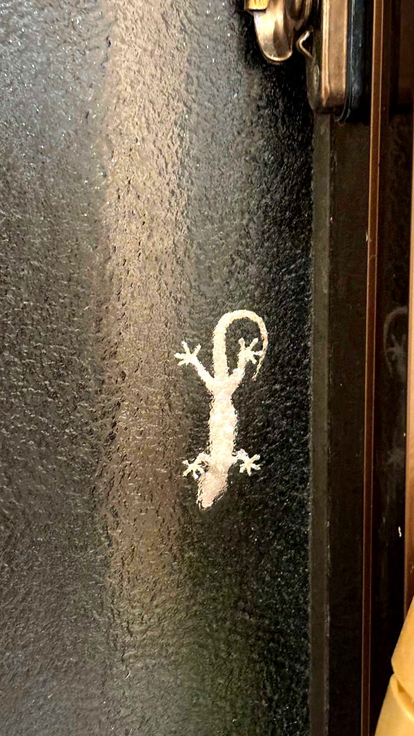 joell_perry image ~ Altpins