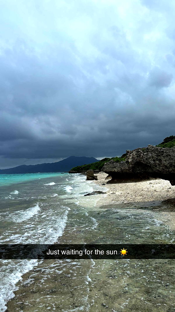 joell_perry image ~ Altpins