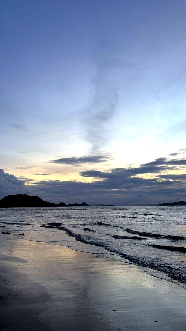 joell_perry image ~ Altpins