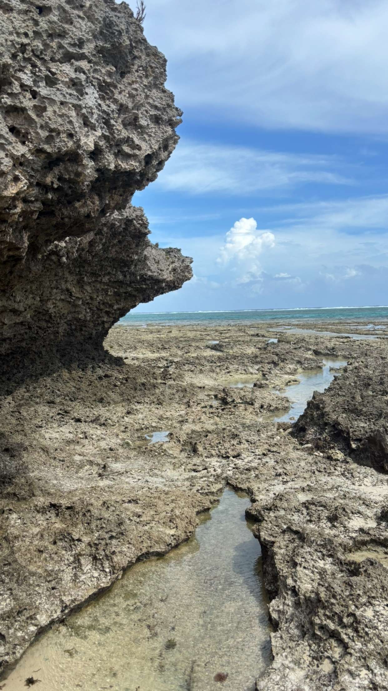 joell_perry snapchat image archive image