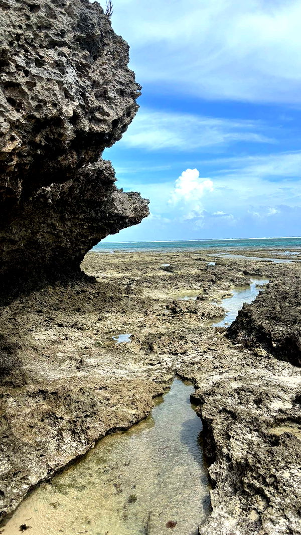 joell_perry image ~ Altpins