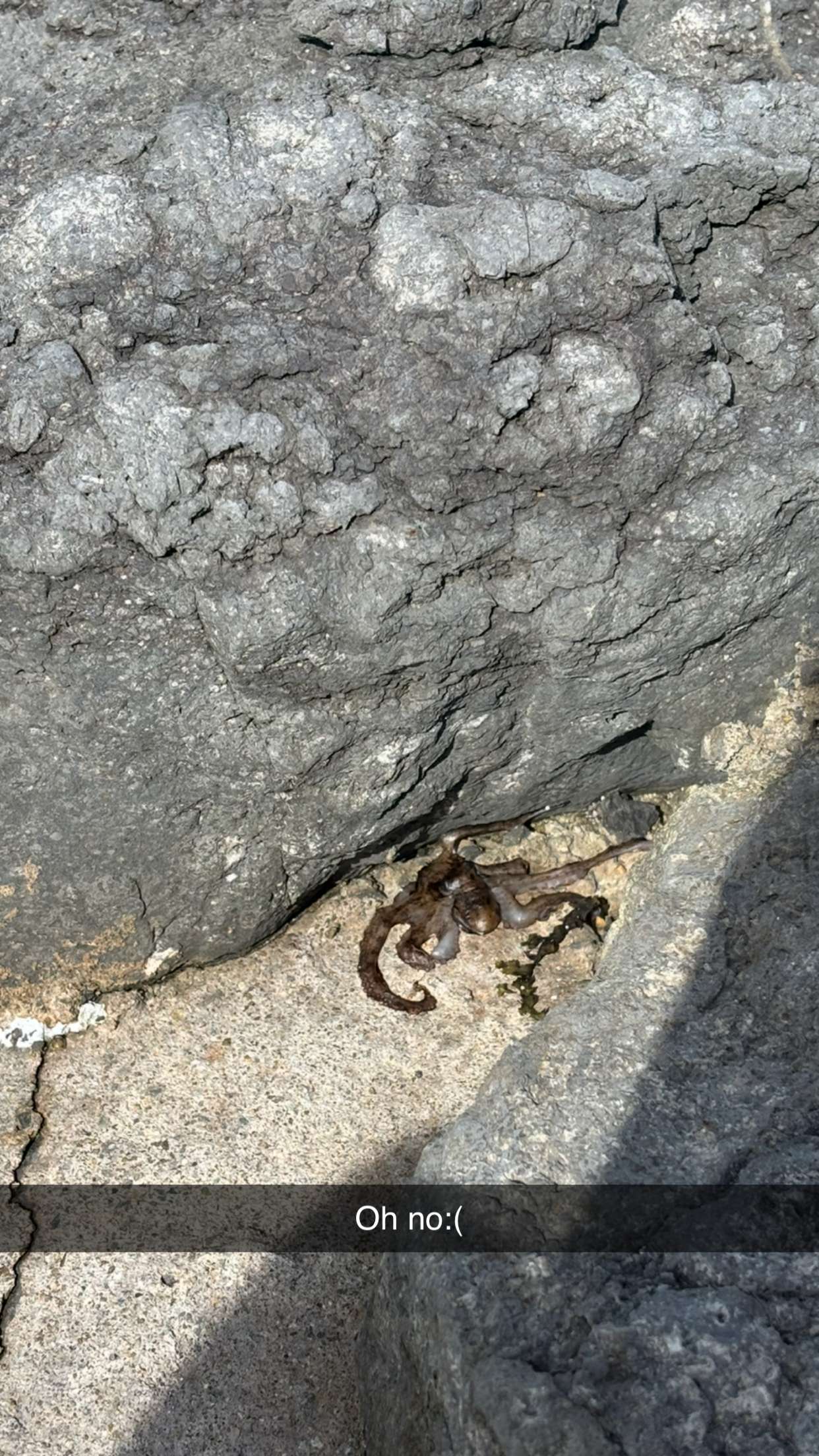 joell_perry snapchat image archive image