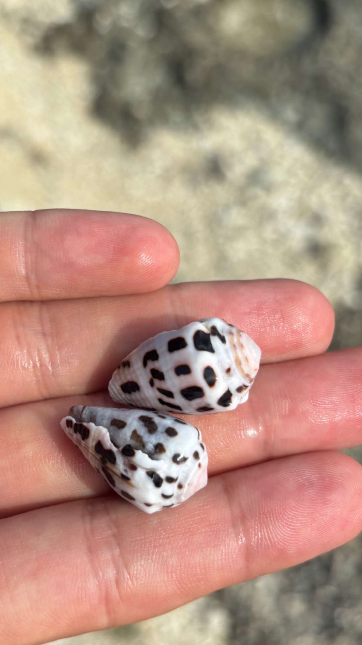 joell_perry snapchat image archive image