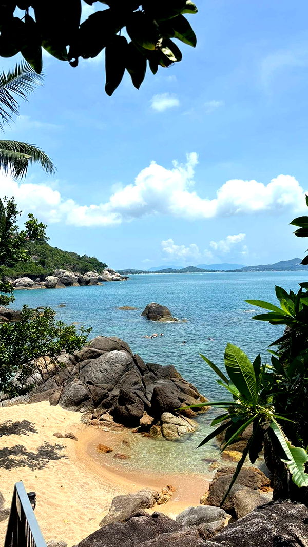 joell_perry image ~ Altpins