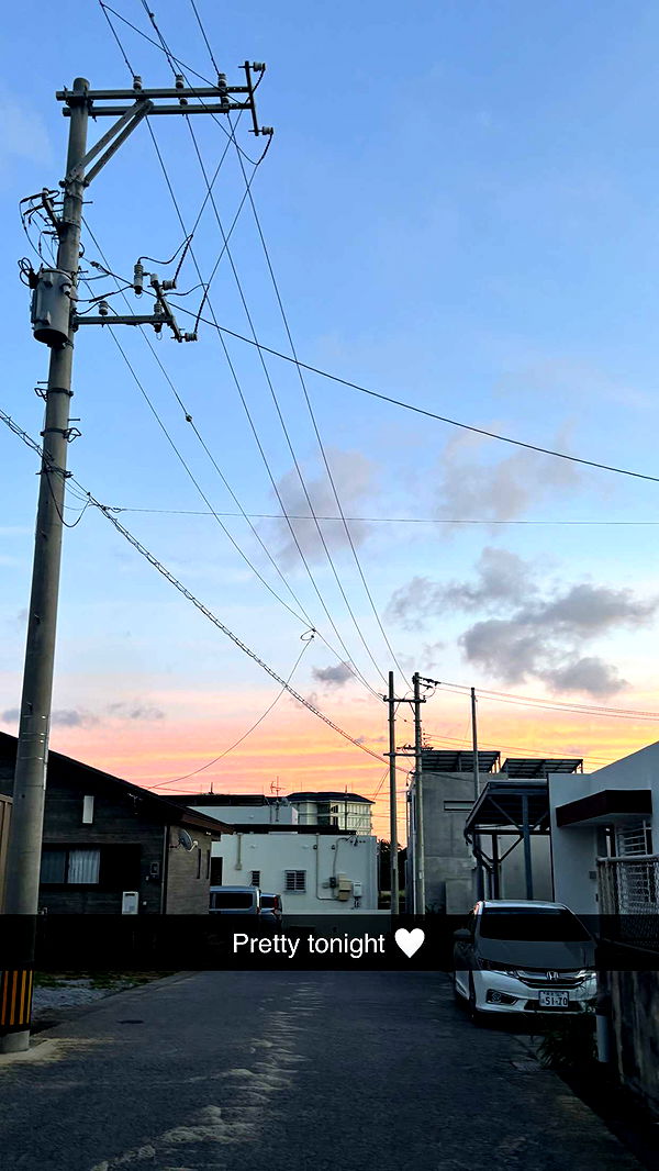 joell_perry image ~ Altpins