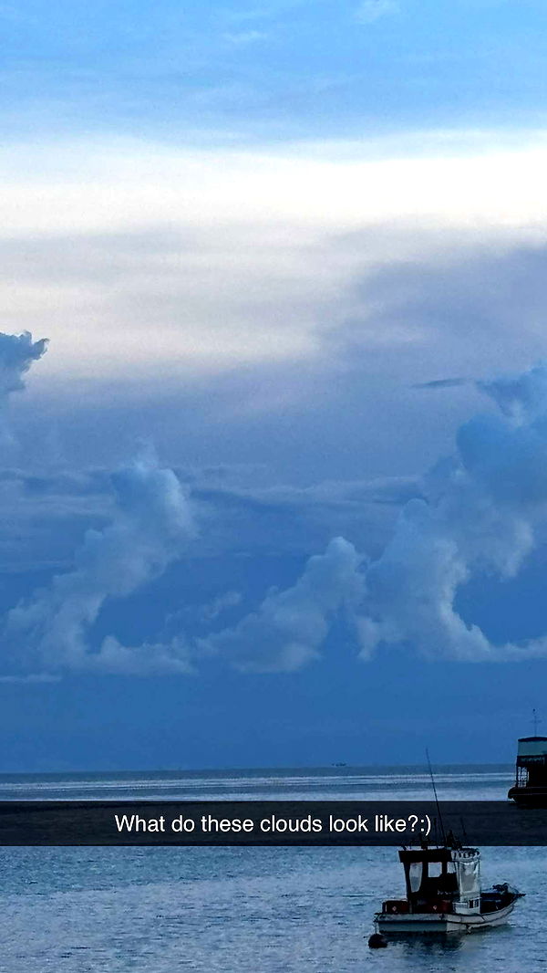 joell_perry image ~ Altpins