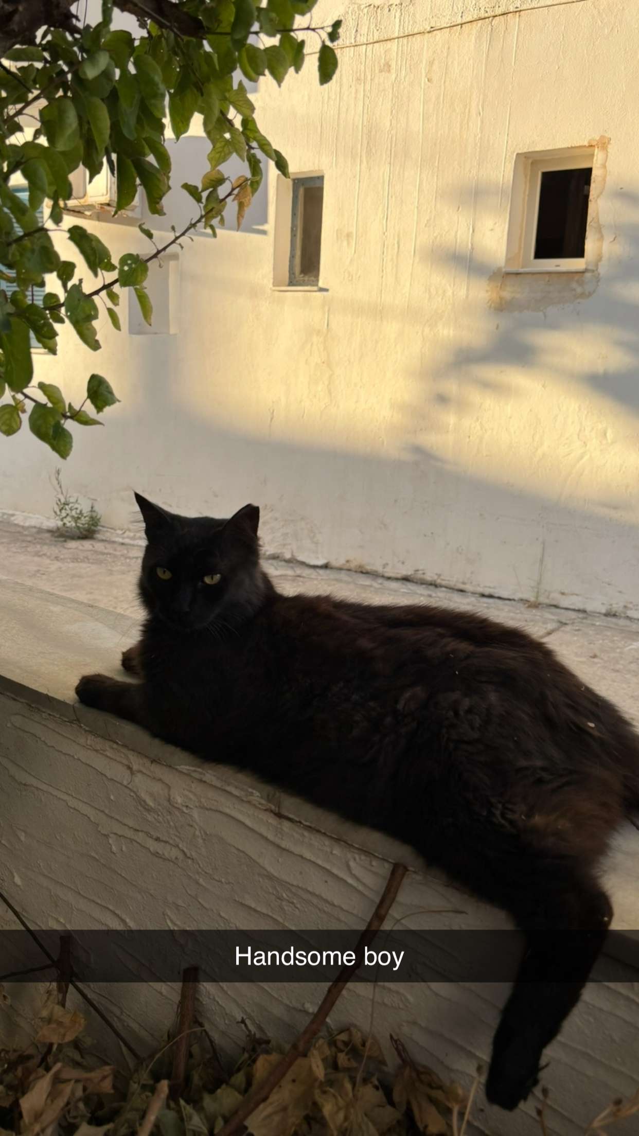 joell_perry snapchat image archive image