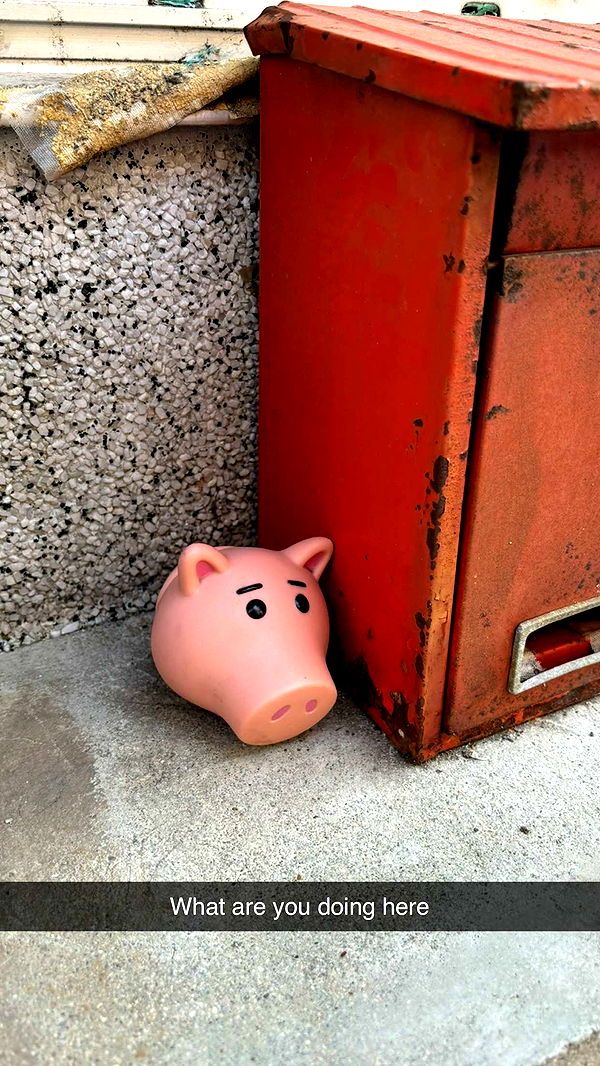 joell_perry image ~ Altpins