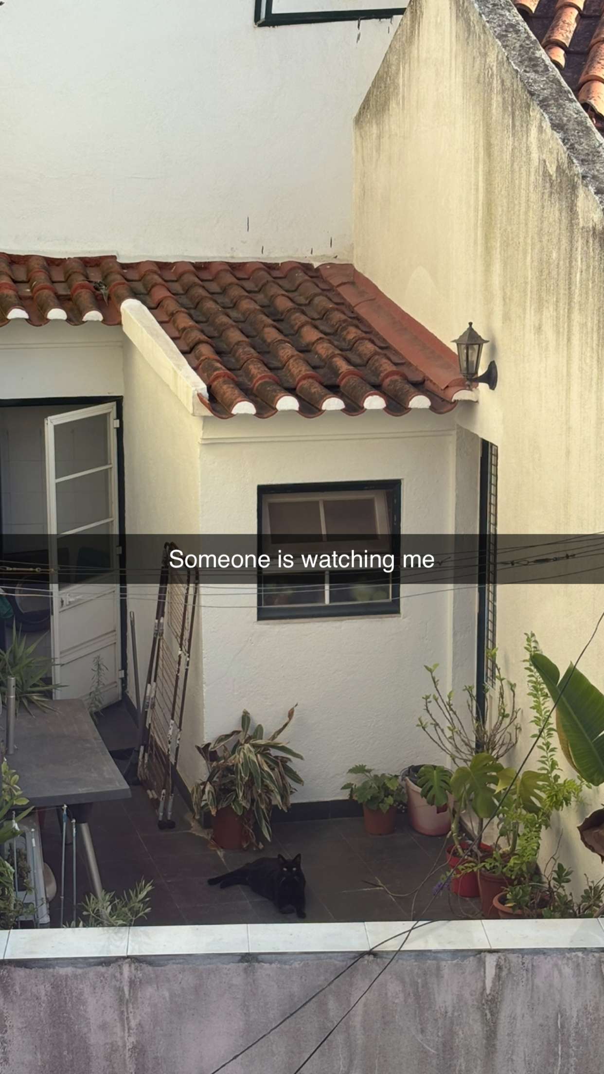 joell_perry snapchat image archive image