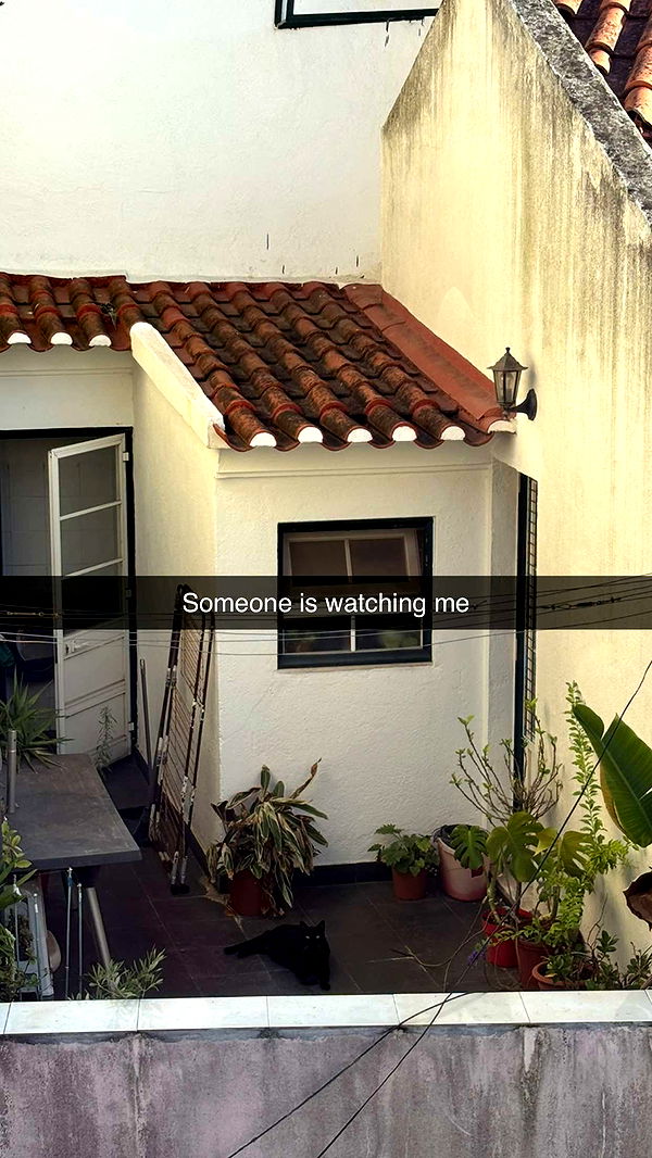 joell_perry image ~ Altpins