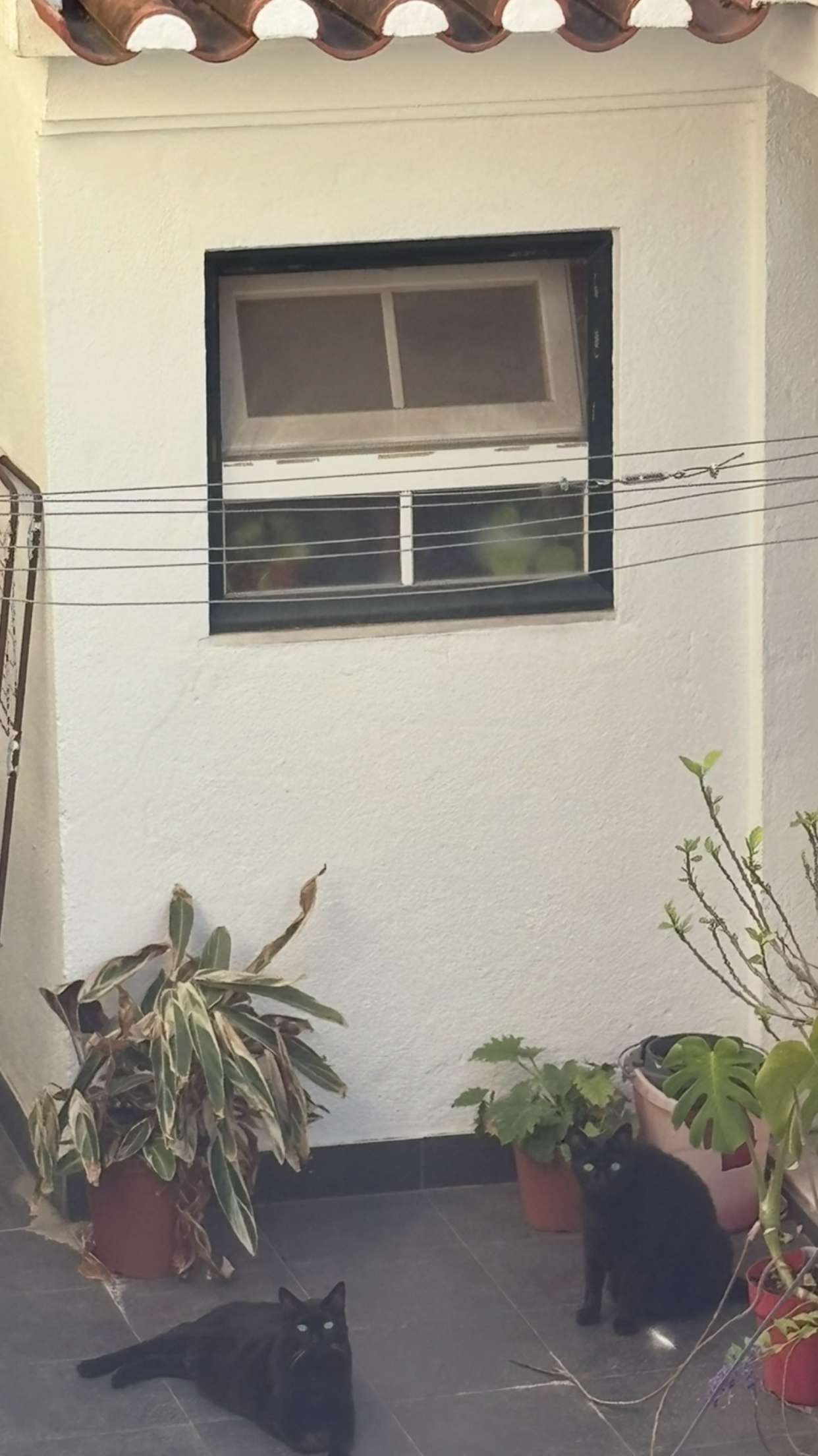 joell_perry snapchat image archive image