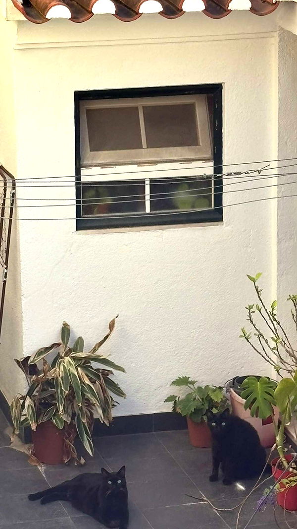 joell_perry image ~ Altpins