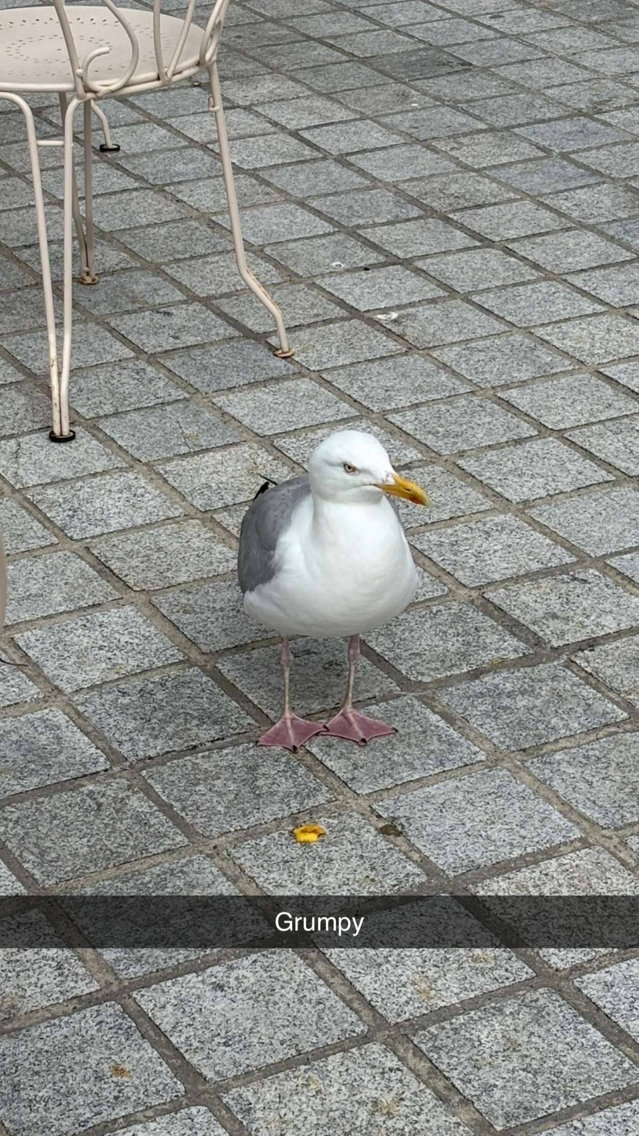 joell_perry snapchat image archive image