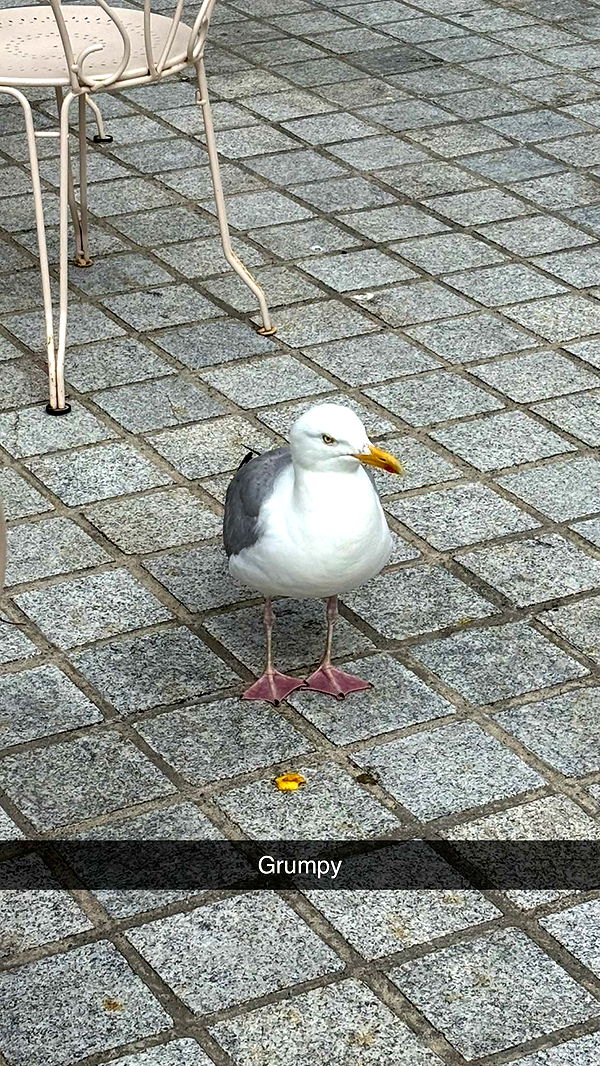 joell_perry image ~ Altpins