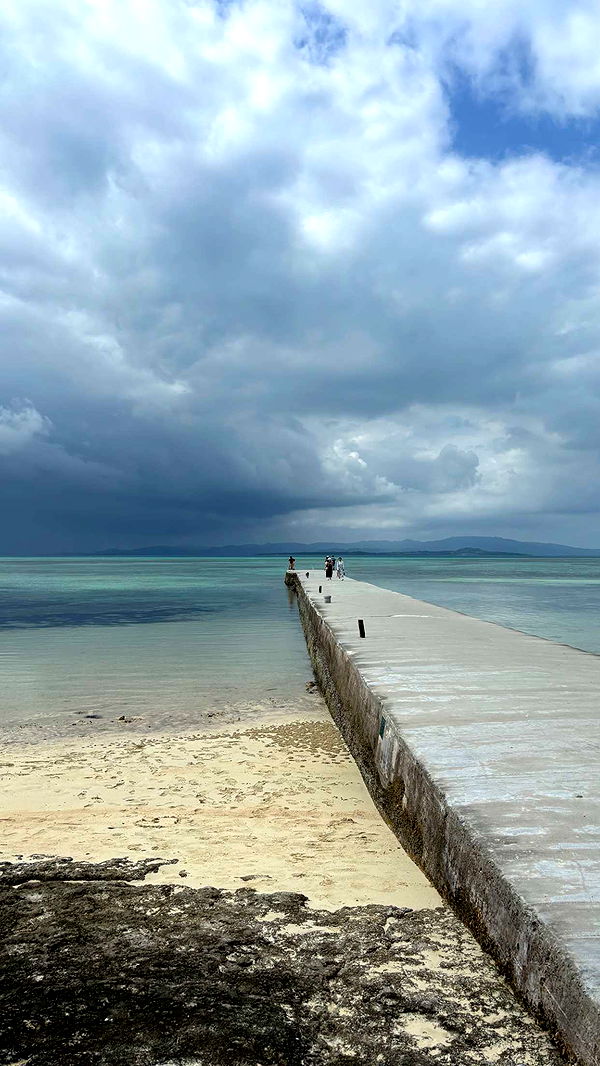 joell_perry image ~ Altpins