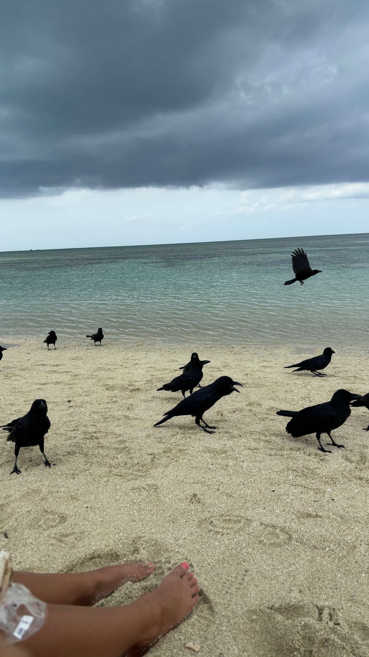 joell_perry snapchat image archive image