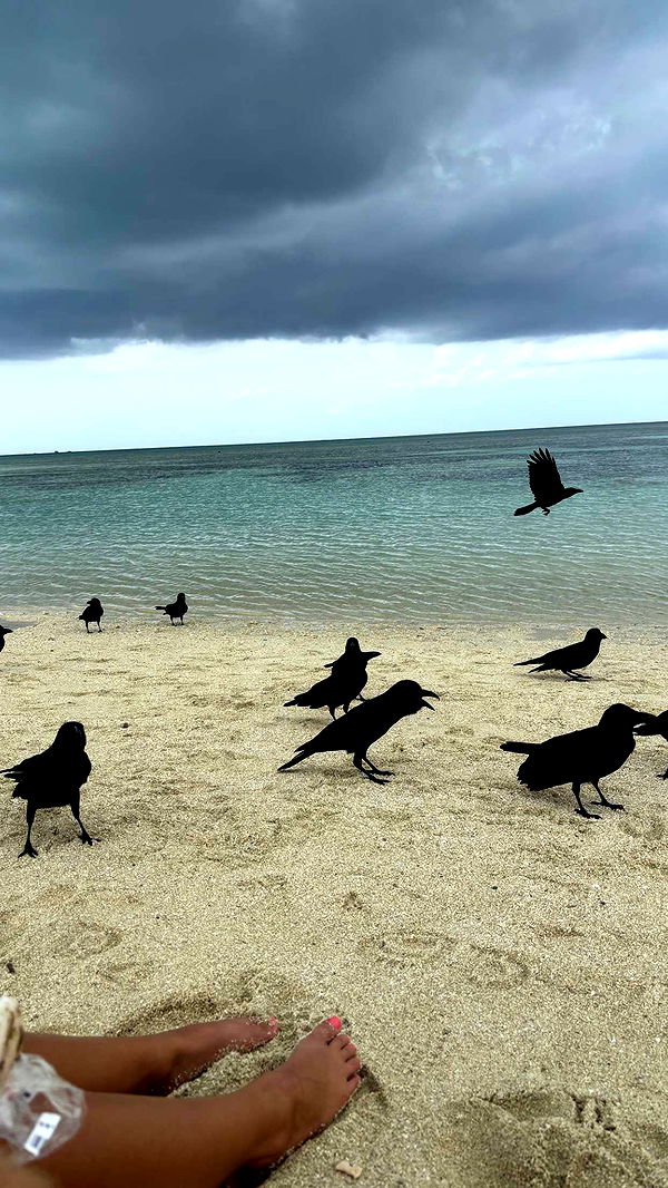 joell_perry image ~ Altpins