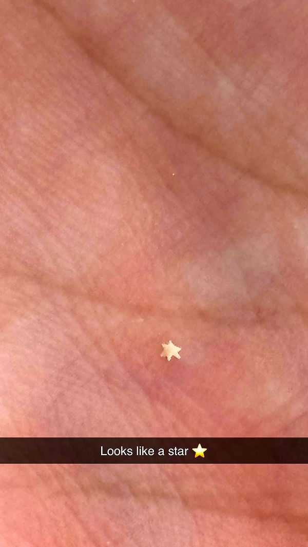 joell_perry image ~ Altpins