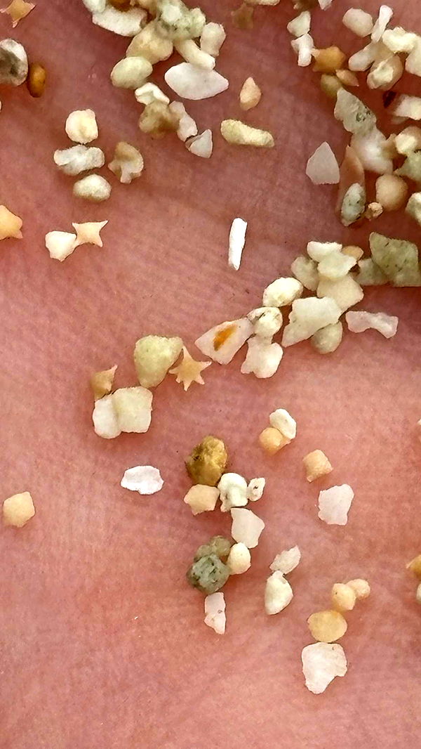 joell_perry image ~ Altpins