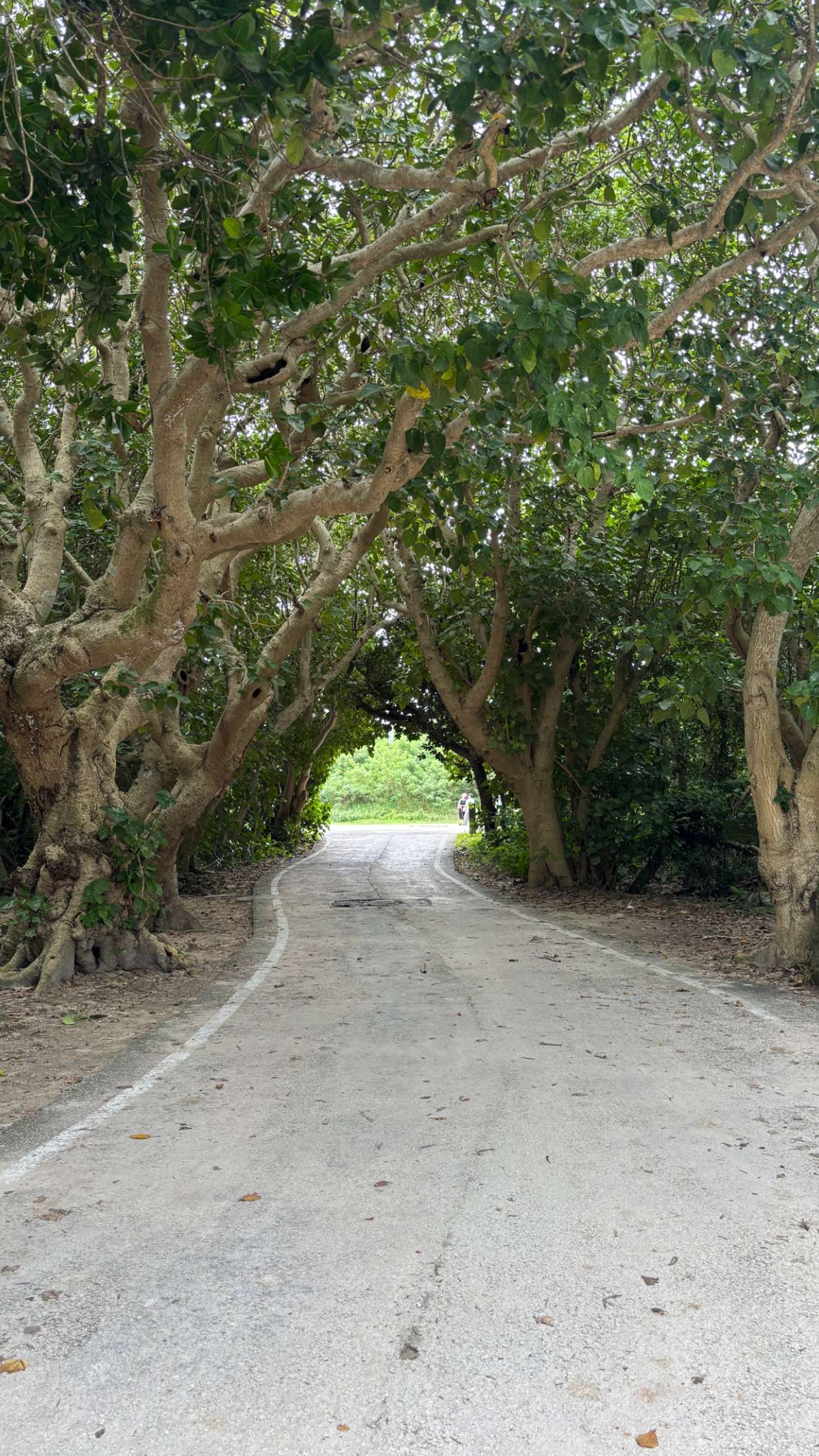 joell_perry snapchat image archive image