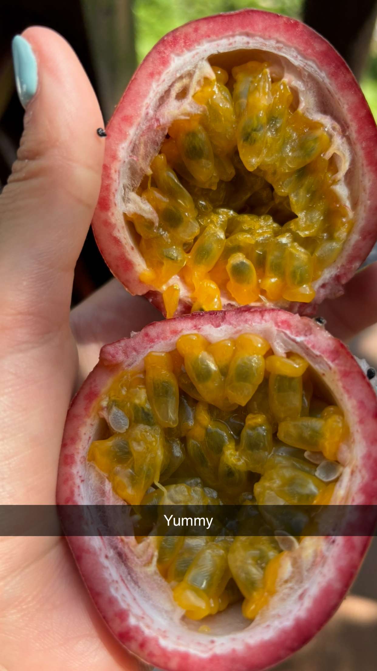 joell_perry snapchat image archive image