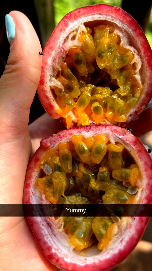 joell_perry image ~ Altpins