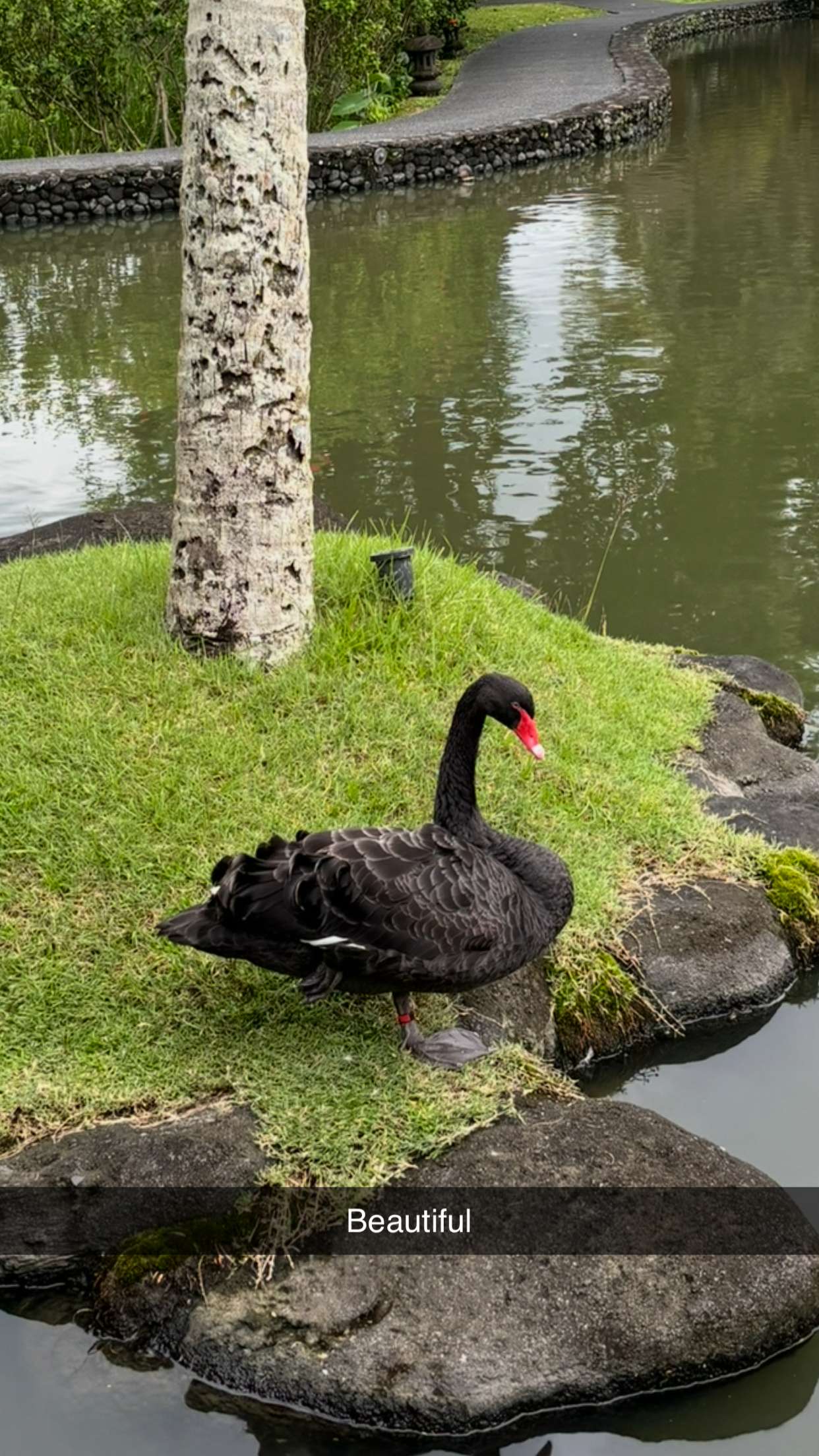 joell_perry snapchat image archive image