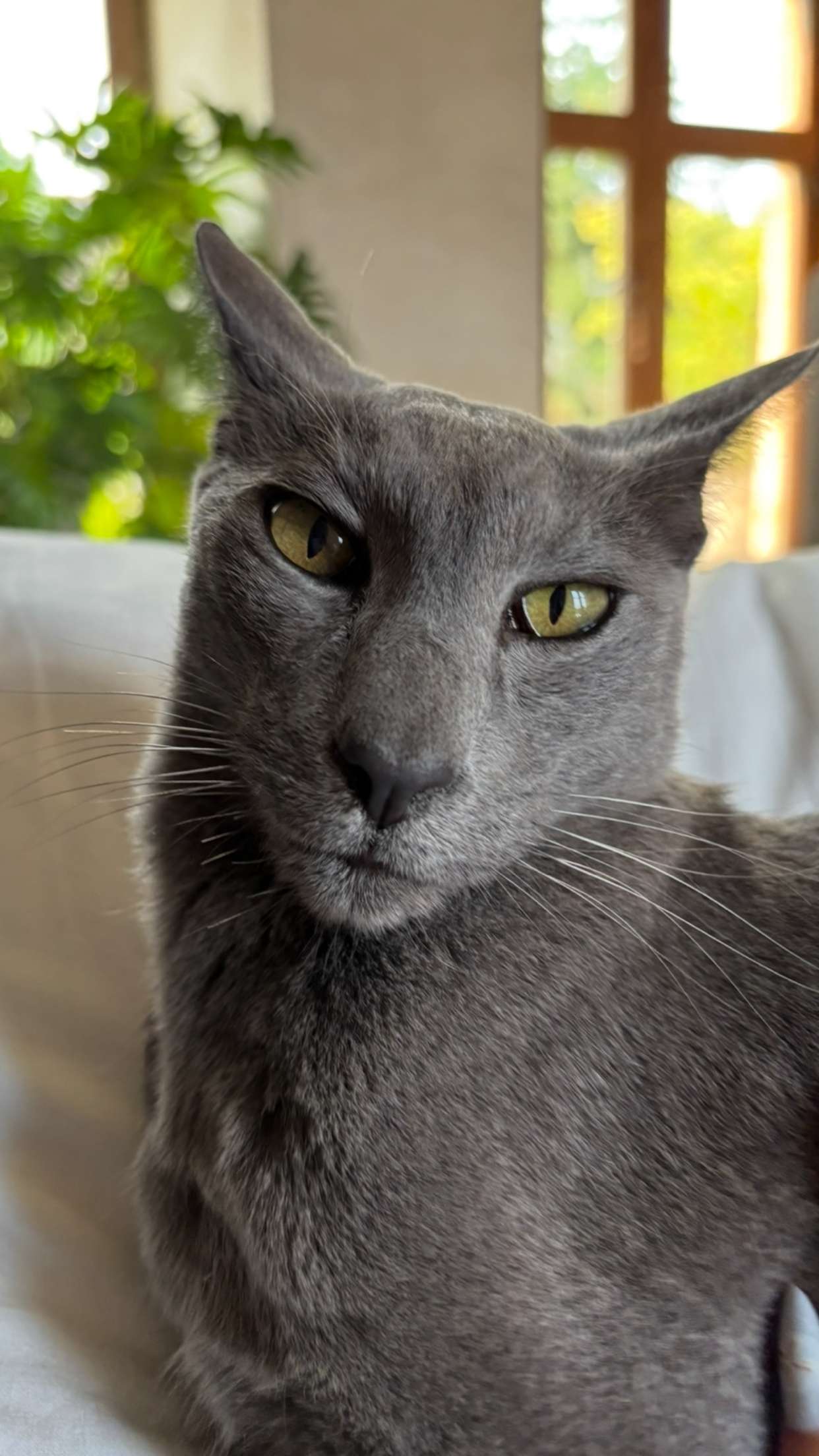 joell_perry snapchat image archive image