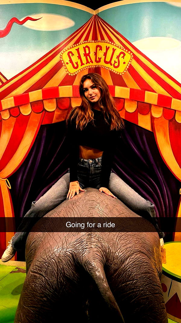 joell_perry image ~ Altpins