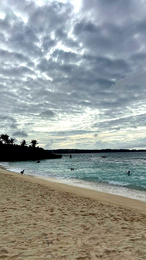 joell_perry image ~ Altpins