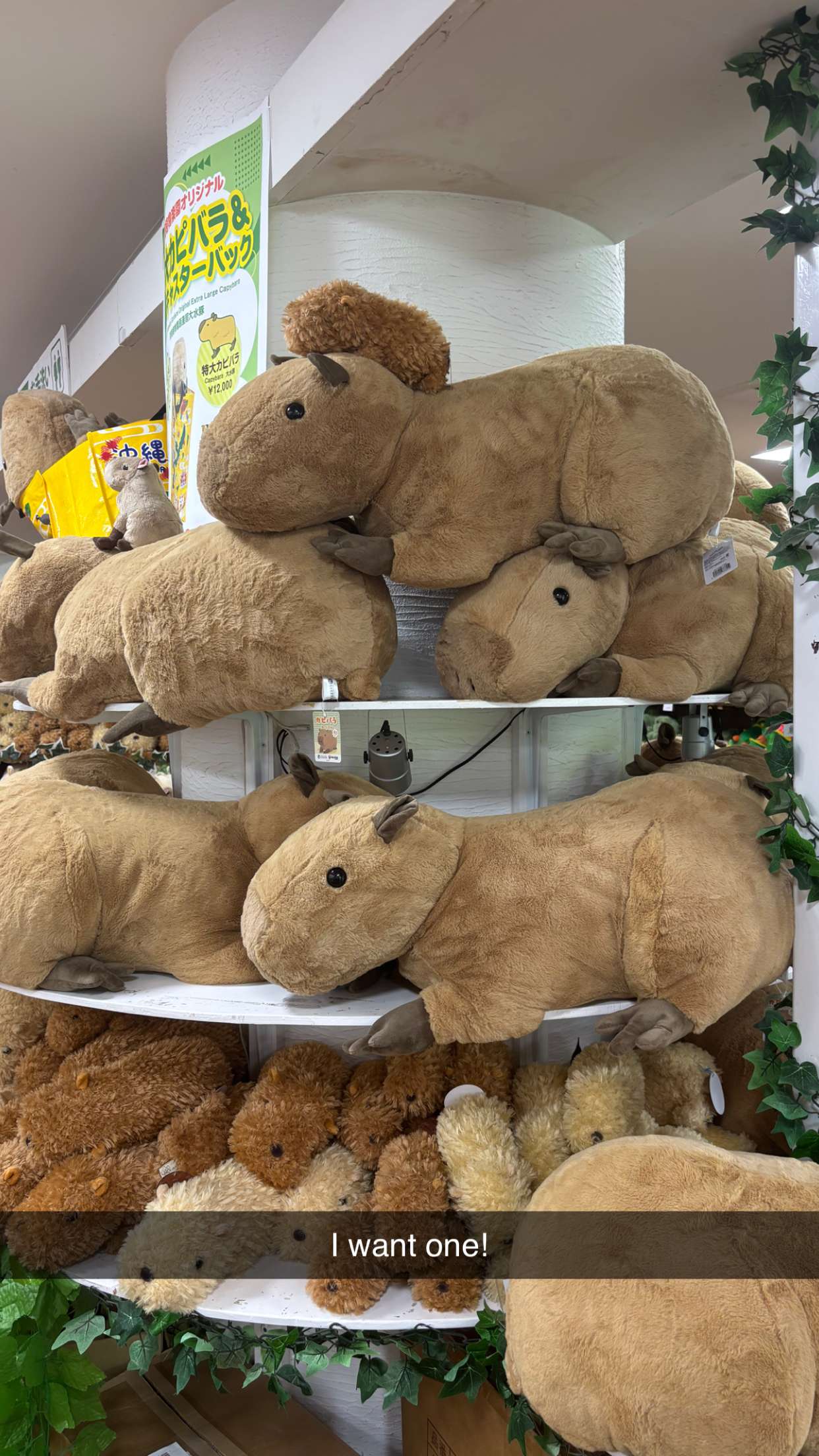 joell_perry snapchat image archive image