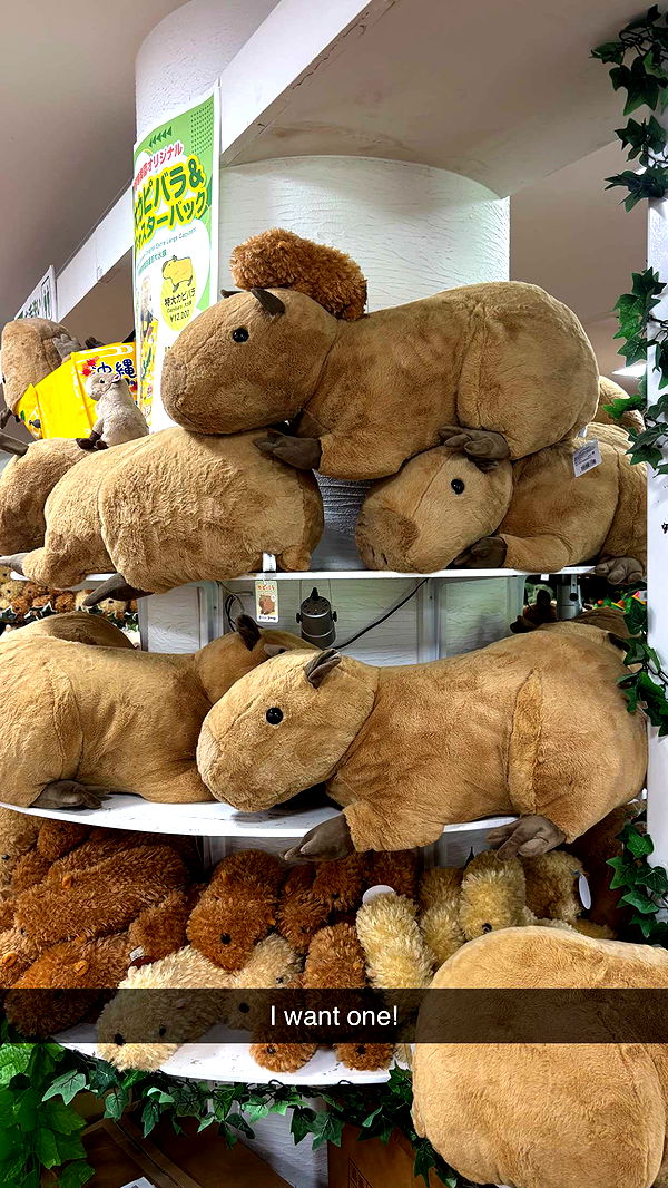 joell_perry image ~ Altpins