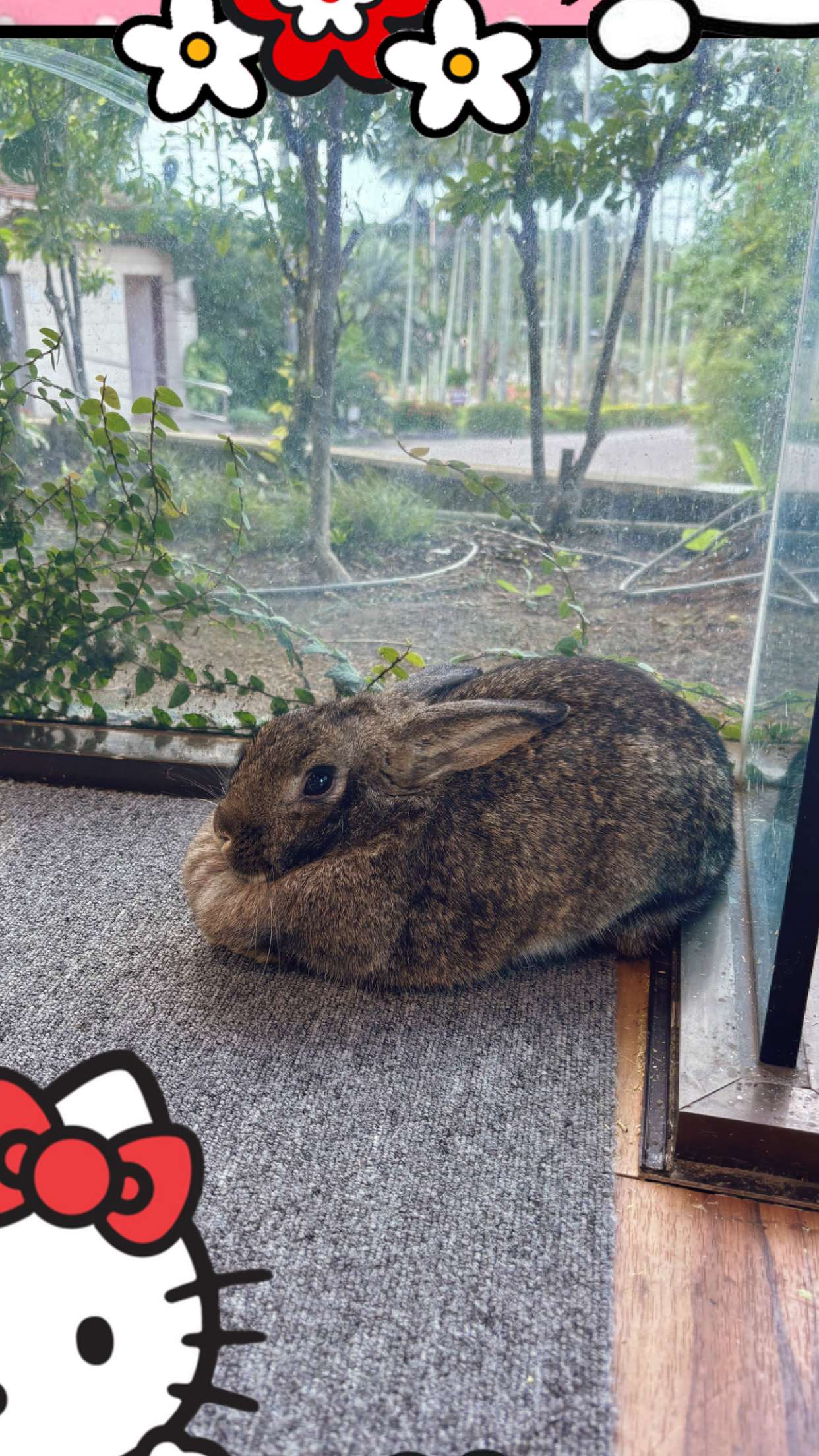 joell_perry snapchat image archive image