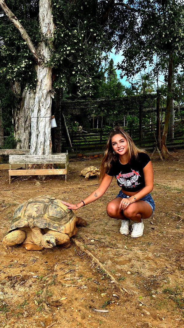 joell_perry image ~ Altpins