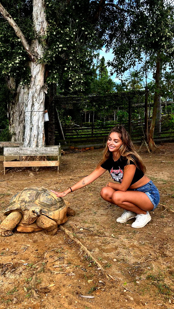 joell_perry image ~ Altpins