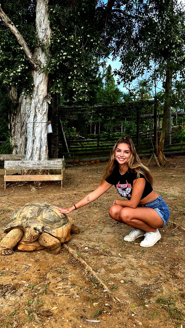 joell_perry image ~ Altpins