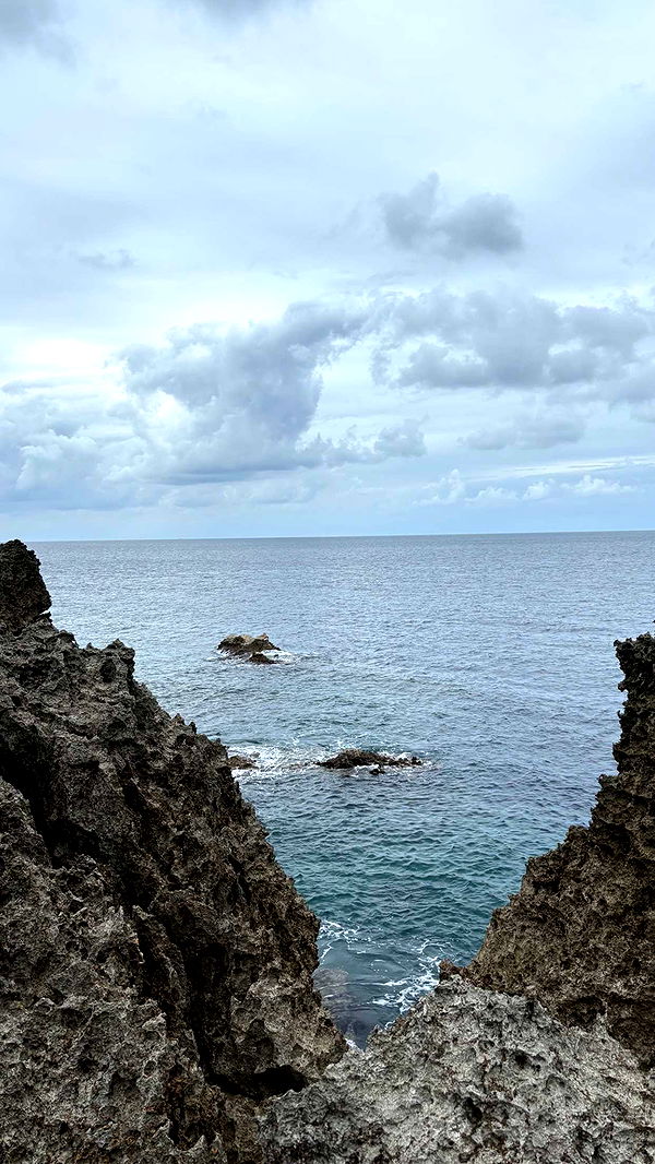 joell_perry image ~ Altpins