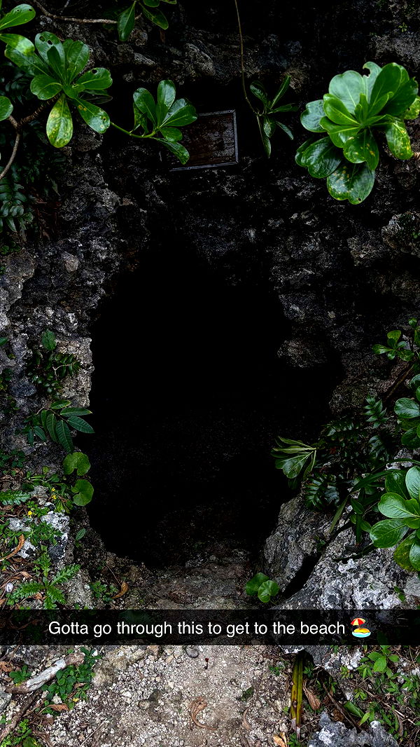 joell_perry image ~ Altpins