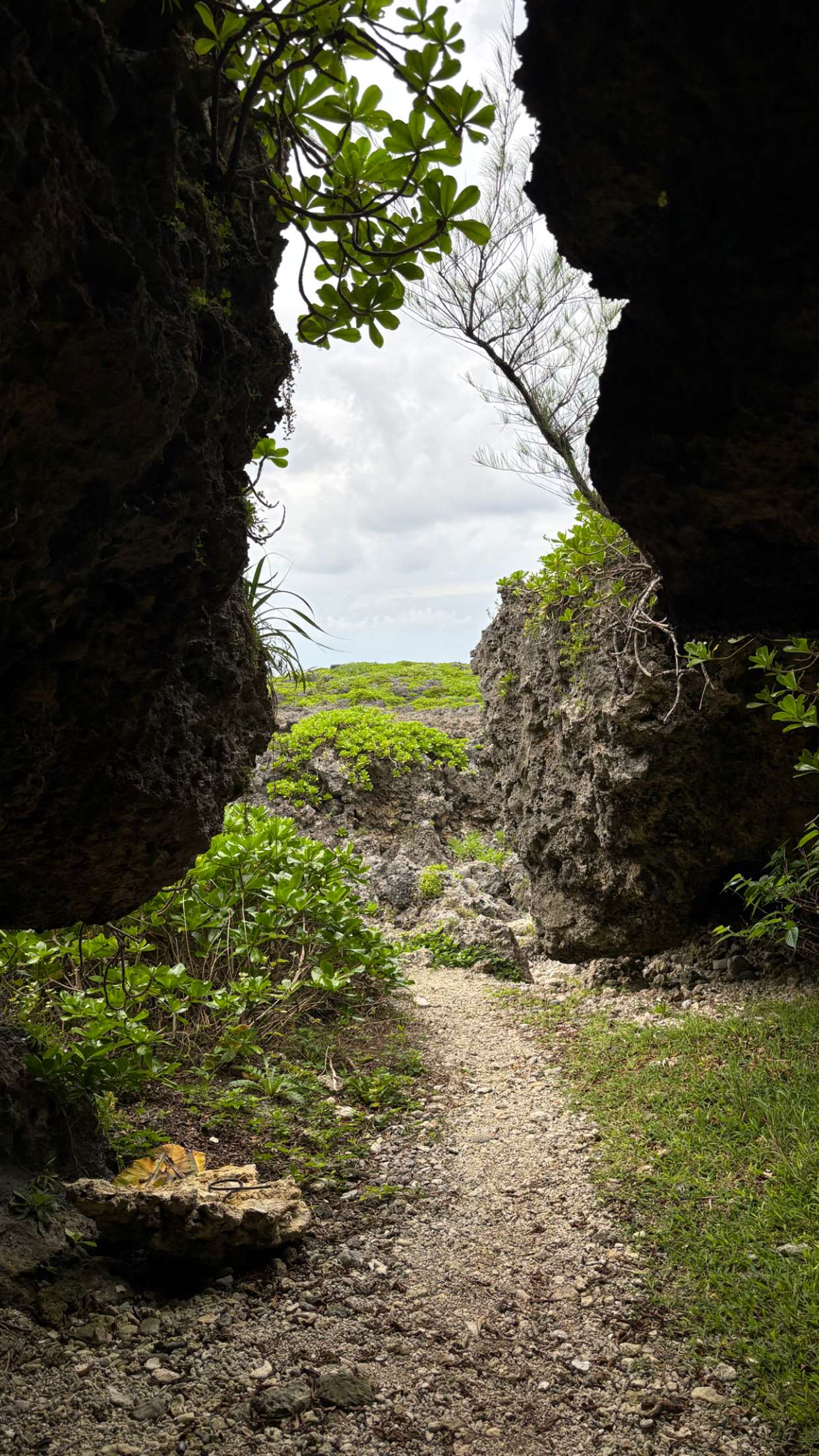 joell_perry snapchat image archive image