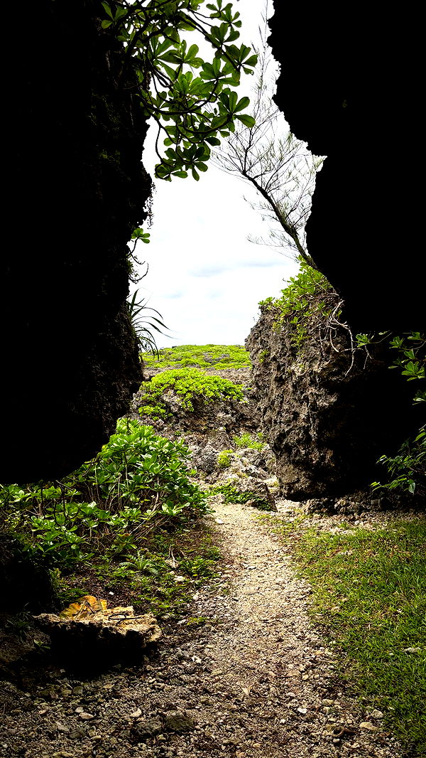 joell_perry image ~ Altpins