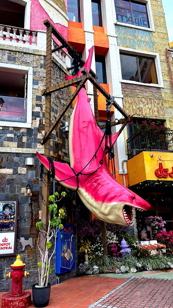 joell_perry image ~ Altpins