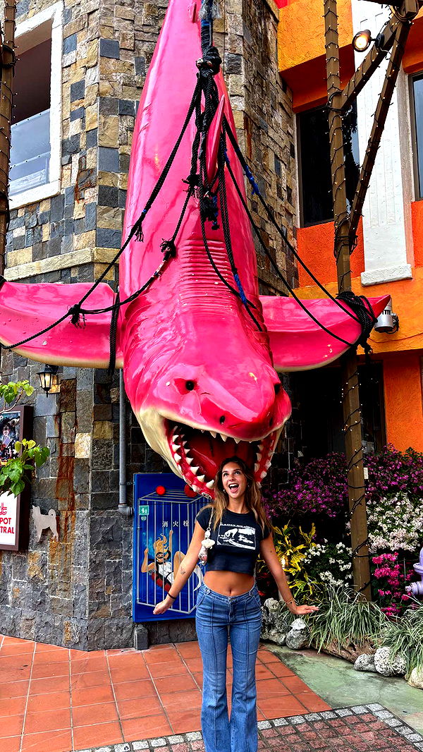 joell_perry image ~ Altpins