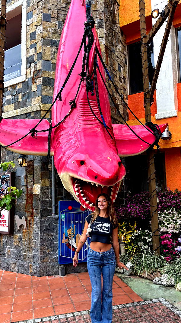 joell_perry image ~ Altpins