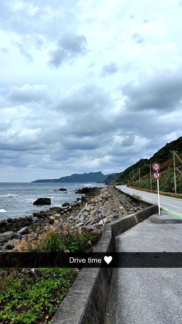 joell_perry image ~ Altpins