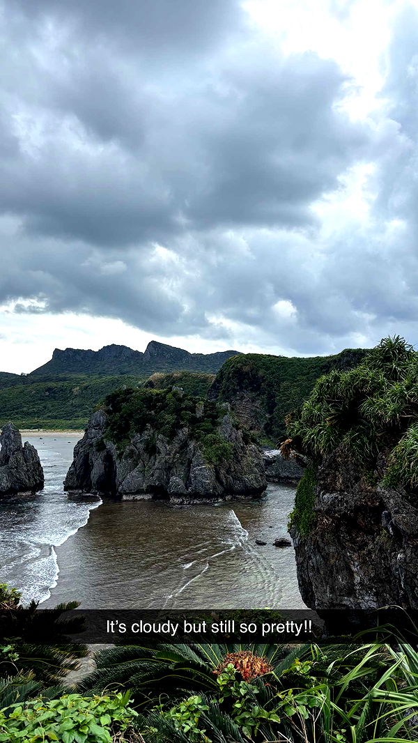 joell_perry image ~ Altpins