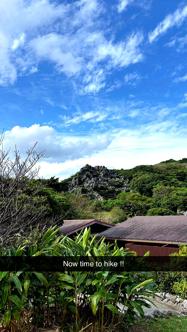 joell_perry image ~ Altpins